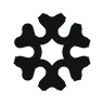 Snowflake icon